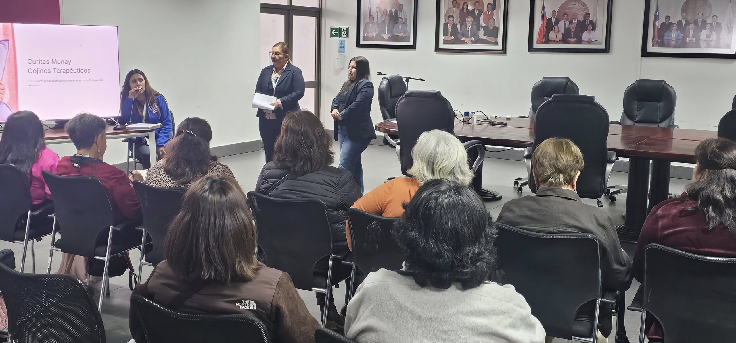 taller cojines terapeuticos tortuga 1